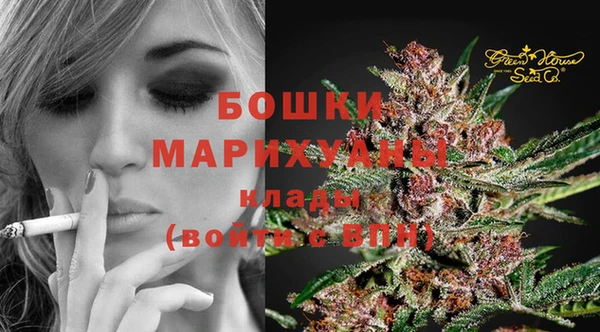 спиды Богородск