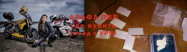 спиды Богородск