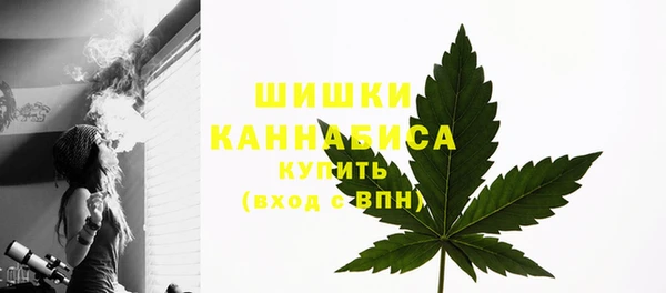 дурь Богданович