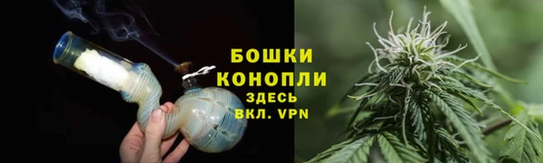 спиды Богородск