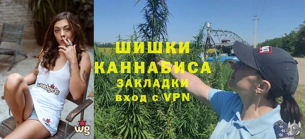 дурь Богданович