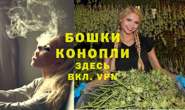 спиды Богородск