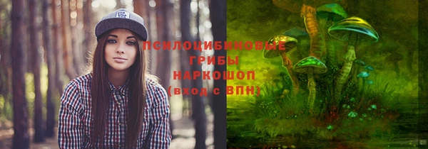 спиды Богородск