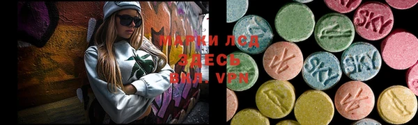 спиды Богородск